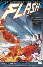 플래시 Vol.3 : 로그즈 재장전