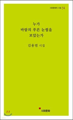 누가 바람의 푸른 눈썹을 보았는가