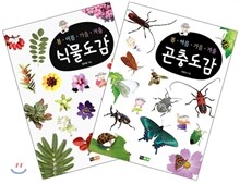 봄ㆍ여름ㆍ가을ㆍ겨울 식물도감, 곤충도감 세트
