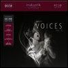 Various Artists - Reference Sound Edition-Great Voices,Vol. II (180G)(2LP)