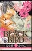 BLACK BIRD 16