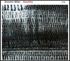 Dominic Miller (도미닉 밀러) - Absinthe