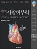 원색사람해부학