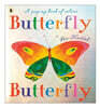 Butterfly, Butterfly