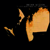 Brian Wilson - I Just Wasn't Made for These Times (Limited Edition)(180G)(LP)