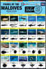 The Maldives Fish Field Guide "Top 200+"