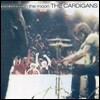 Cardigans - First Band On The Moon 카디건스 정규 3집 [LP]