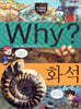 Why? 와이 화석