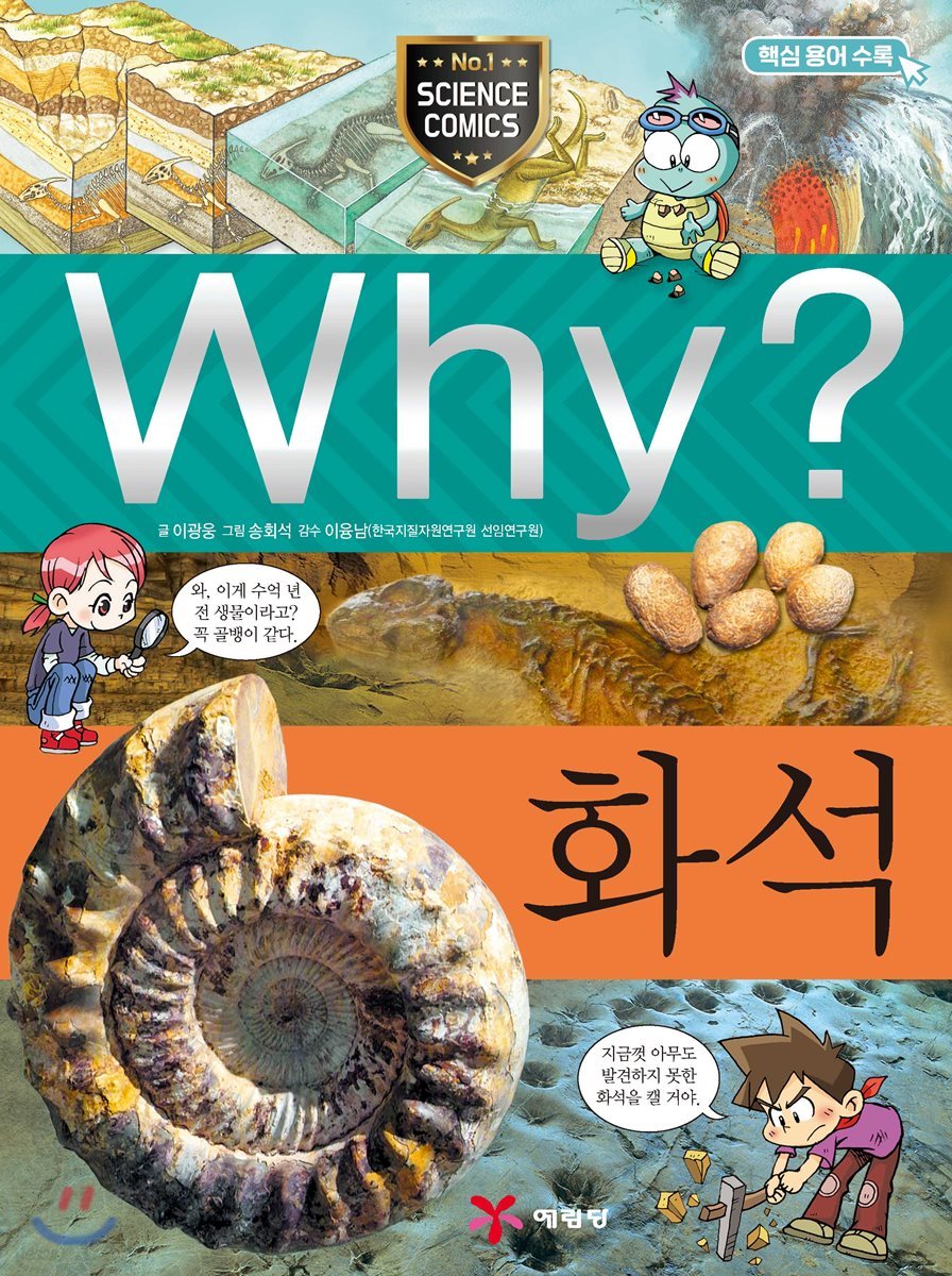 Why? 와이 화석