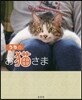 うちのお猫さま