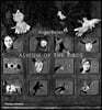 Asylum of the Birds