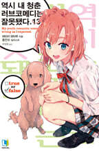 역시 내 청춘 러브코메디는 잘못됐다 13