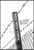 총력전 제국의 인종주의