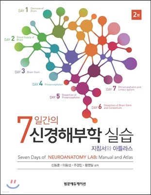 7일간의 신경해부학실습