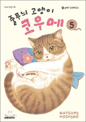 줄무늬 고양이 코우메 5