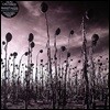 Dead Can Dance - Anastasis 데드 캔 댄스 8집 [2LP]