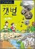 갯벌