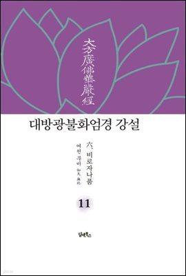 대방광불화엄경 강설 11