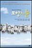 포항의 눈