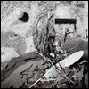 David Sylvian (데이빗 실비언) - Secrets Of The Beehive [LP]
