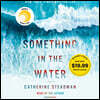 Something in the Water