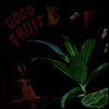 Teen - Good Fruit (LP)
