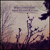 Lee Bains III & Glory Fires - There Is A Bomb In Gilead (Download Card)(LP)