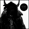 Cult - Choice Of Weapon (2LP)