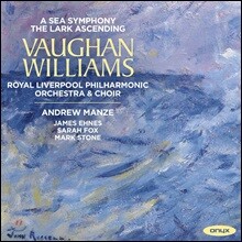 Andrew Manze 본 윌리엄스: 교향곡 4집 - 1번 &#39;바다&#39;, &#39;종달새의 비상&#39; (Vaughan Williams: A Sea Symphony, The Lark Ascending)