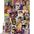 고양이 컬렉션 [1000피스/직소퍼즐/동물/PL1255]