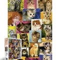 고양이 컬렉션 [500피스/직소퍼즐/동물/PL680]