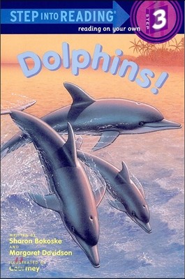 Dolphins!