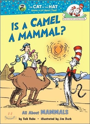 Is a Camel a Mammal? All about Mammals