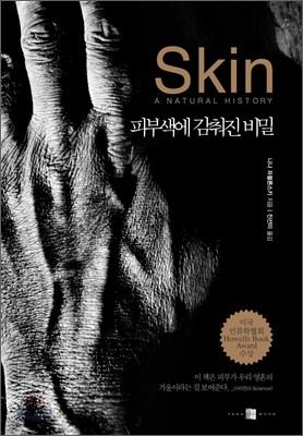 Skin 스킨