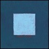 Pinegrove - Skylight 파인그로브 3집