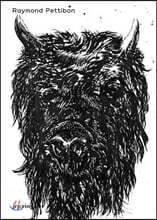 Raymond Pettibon