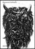 Raymond Pettibon