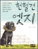 헌혈견 엣지