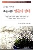 존 넬슨 다비의 죽음 이후 영혼의 상태