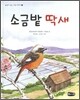 소금밭 딱새