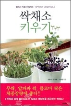 싹채소 키우기