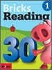 Bricks Reading 30 1