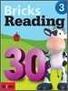 Bricks Reading 30 3