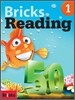 Bricks Reading 50 1