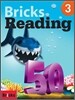 Bricks Reading 50 3
