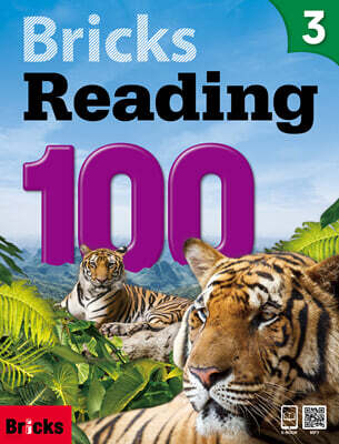 Bricks Reading 100 3