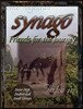 Synago Friends for the Journey Leader