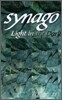 Synago Light in the Dark Student Led Senior High Cell Group Student Journal