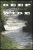 Deep and Wide: A Twenty-Four Year Seminary Professor Attempts to Build a Bridge Between the Church and the Academy