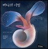 바다의 비밀